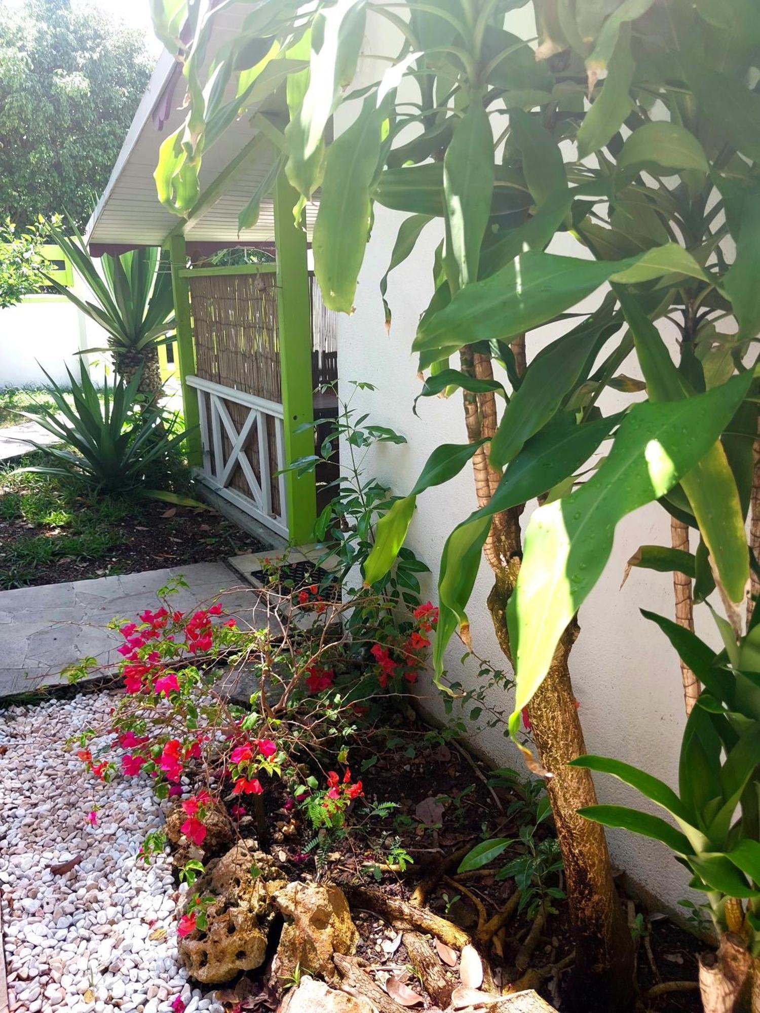 Logisrev Apartment Sainte-Anne  Ngoại thất bức ảnh